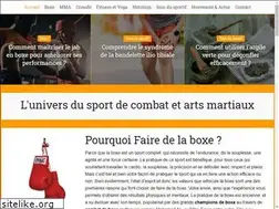 Sites similar to masterfight.net