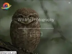 Sites similar to masterpics.in