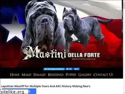 Sites similar to mastinidellaforte.com