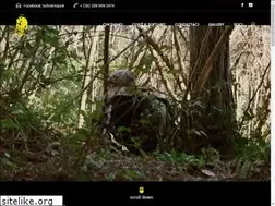 Sites similar to mastinisoftair.com