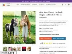 Sites similar to mastinlabs.com
