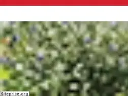 Sites similar to mater.edu.mx