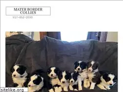 Sites similar to materbordercollies.com