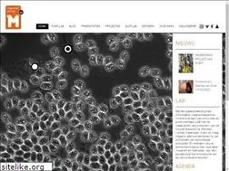 Sites similar to materialsenselab.org