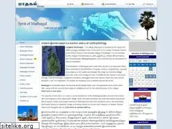 Sites similar to mathagal.com