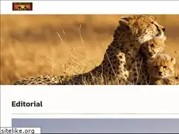 Sites similar to matirasafari.com