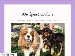 Sites similar to matlynecavaliers.com