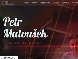 Sites similar to matousekguitars.com