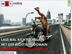 Sites similar to matratzen-laden.de
