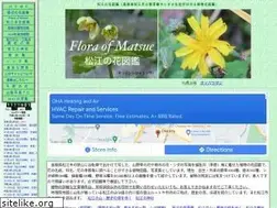 Sites similar to matsue-hana.com