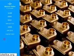 Sites similar to matsuo-valve.com