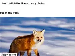 Sites similar to matt.wordpress.com