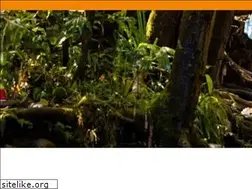 Sites similar to mauihikingadventures.com