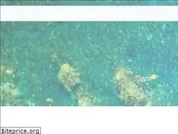 Sites similar to mauisnorkelsail.com