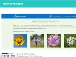 Sites similar to mauricemartens.com