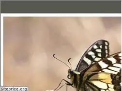 Sites similar to maurienne.tv