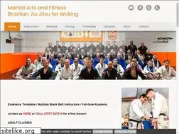 Sites similar to mavenbjj.co.uk