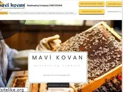 Sites similar to mavikovan.com