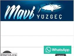 Sites similar to maviyuzgec.com