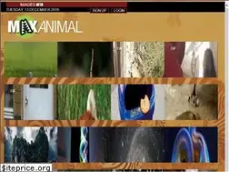 Sites similar to maxanimal.com
