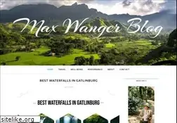 Sites similar to maxwangerblog.com
