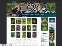 Sites similar to maya-ethnozoology.org