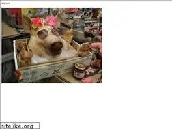 Sites similar to maya.st