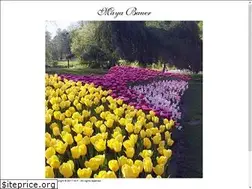 Sites similar to mayabauer.com