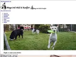 Sites similar to mayapetotel.com