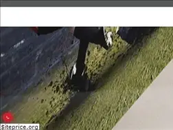 Sites similar to maychieu.vn