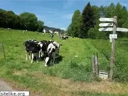 Sites similar to mayer-eifel.de