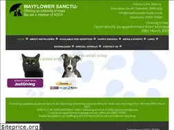 Sites similar to mayflowersanctuary.co.uk
