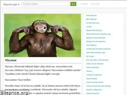 Sites similar to maymun.gen.tr