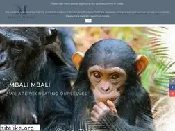 Sites similar to mbalimbali.com