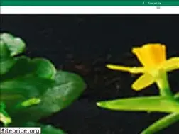 Sites similar to mbcommunitiesinbloom.ca