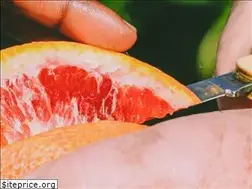 Sites similar to mbcrfg.org