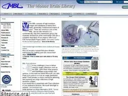 Sites similar to mbl.org