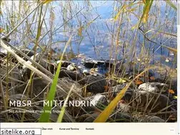 Sites similar to mbsr-mittendrin.com