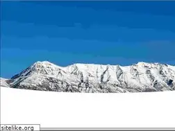 Sites similar to mbtabingo.com