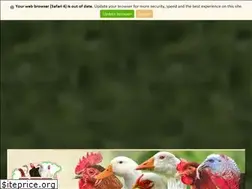Sites similar to mbtt.hu