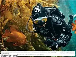 Sites similar to mc-divers.de