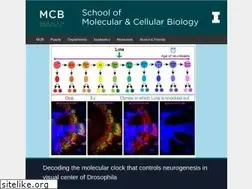 Sites similar to mcb.illinois.edu