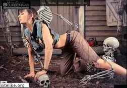 Sites similar to mcbourbonnais.com
