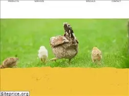 Sites similar to mcfeeds.com