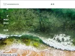 Sites similar to mckenzieandco.co.nz