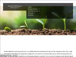 Sites similar to mckenzielawcpa.com