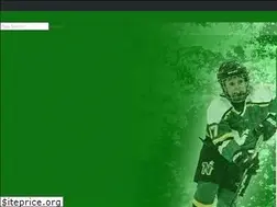 Sites similar to mckinneynorthstars.com