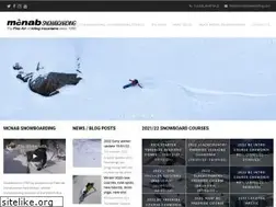 Sites similar to mcnabsnowboarding.com