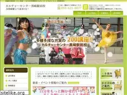 Sites similar to mcv.jp