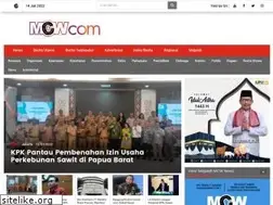 Sites similar to mcwnews.com